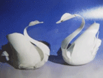 Swans Made out of Bleach Bottles